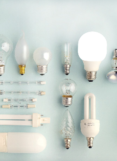 Light Globes