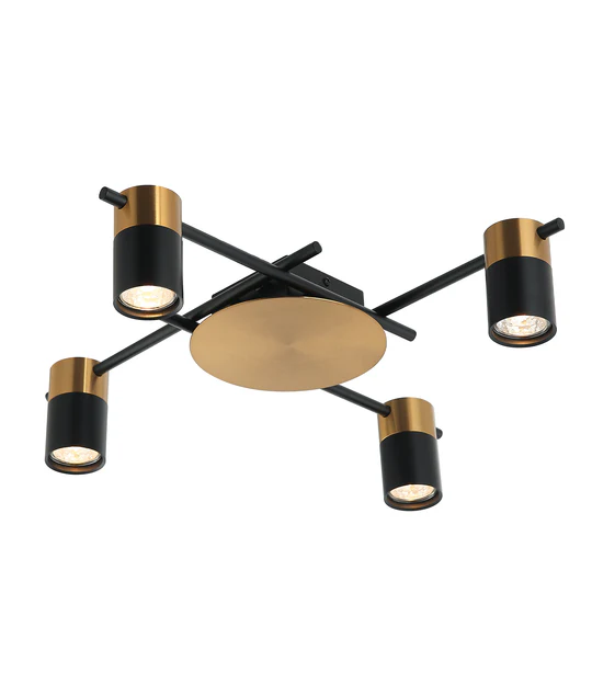 Interior Spot Ceiling 4 Lights with Adjustable Heads TACHE5