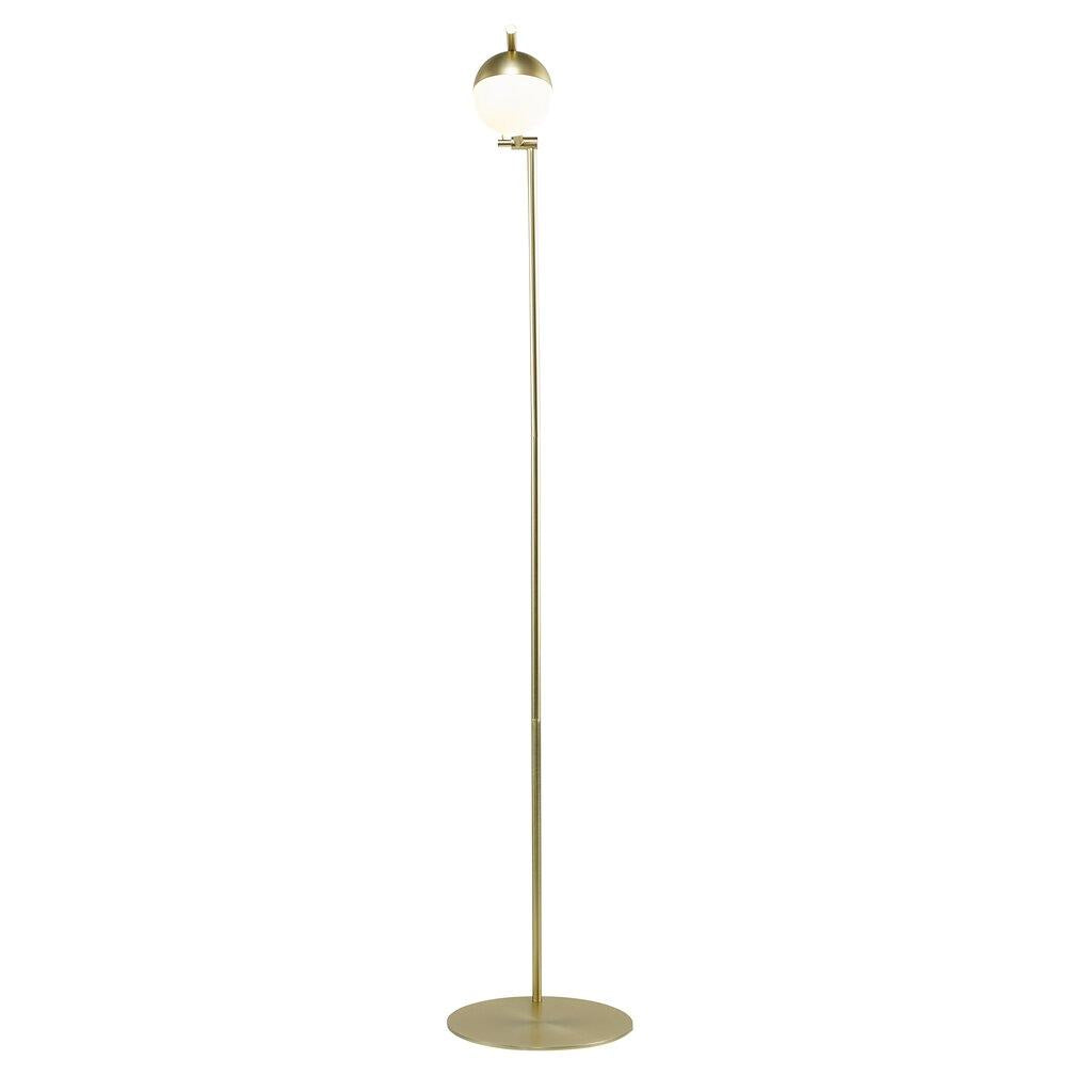 Contina Floor Metal, Glass Brass, Opal - 2010994035