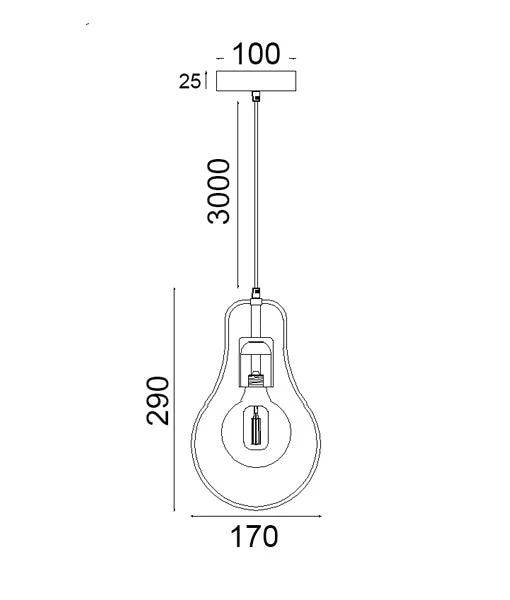 CONTOUR Interior Black Wire Pear Shape Pendant Light- CONTOUR1