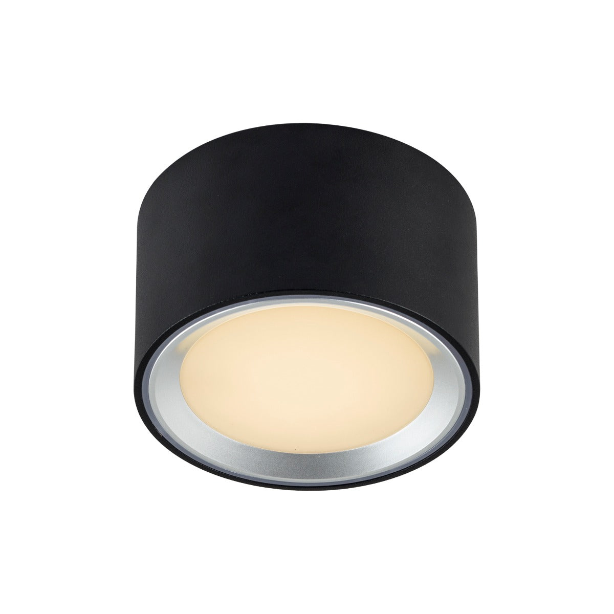 Fallon Surface downlight Black/Steel-47540103