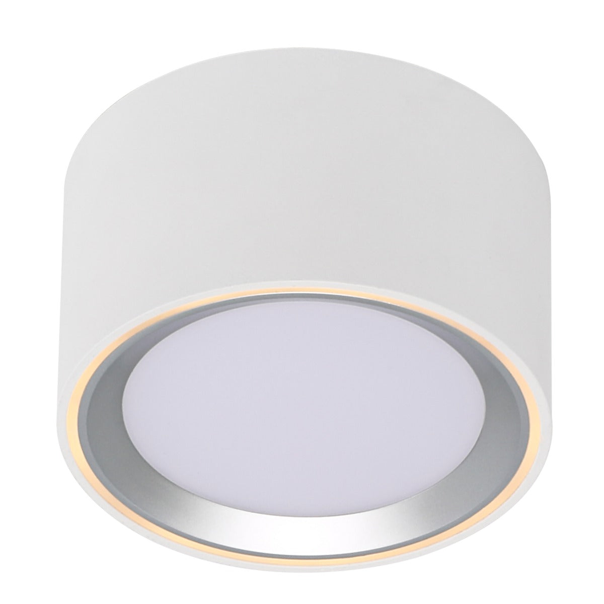 Fallon Surface downlight White/Steel-47540132