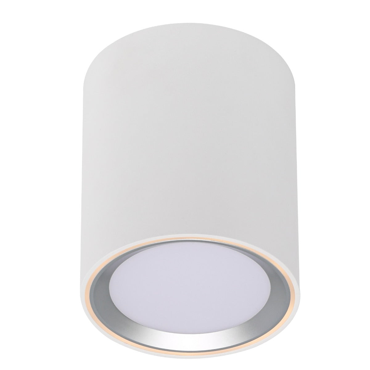Fallon Long Surface downlight White/Steel-47550132