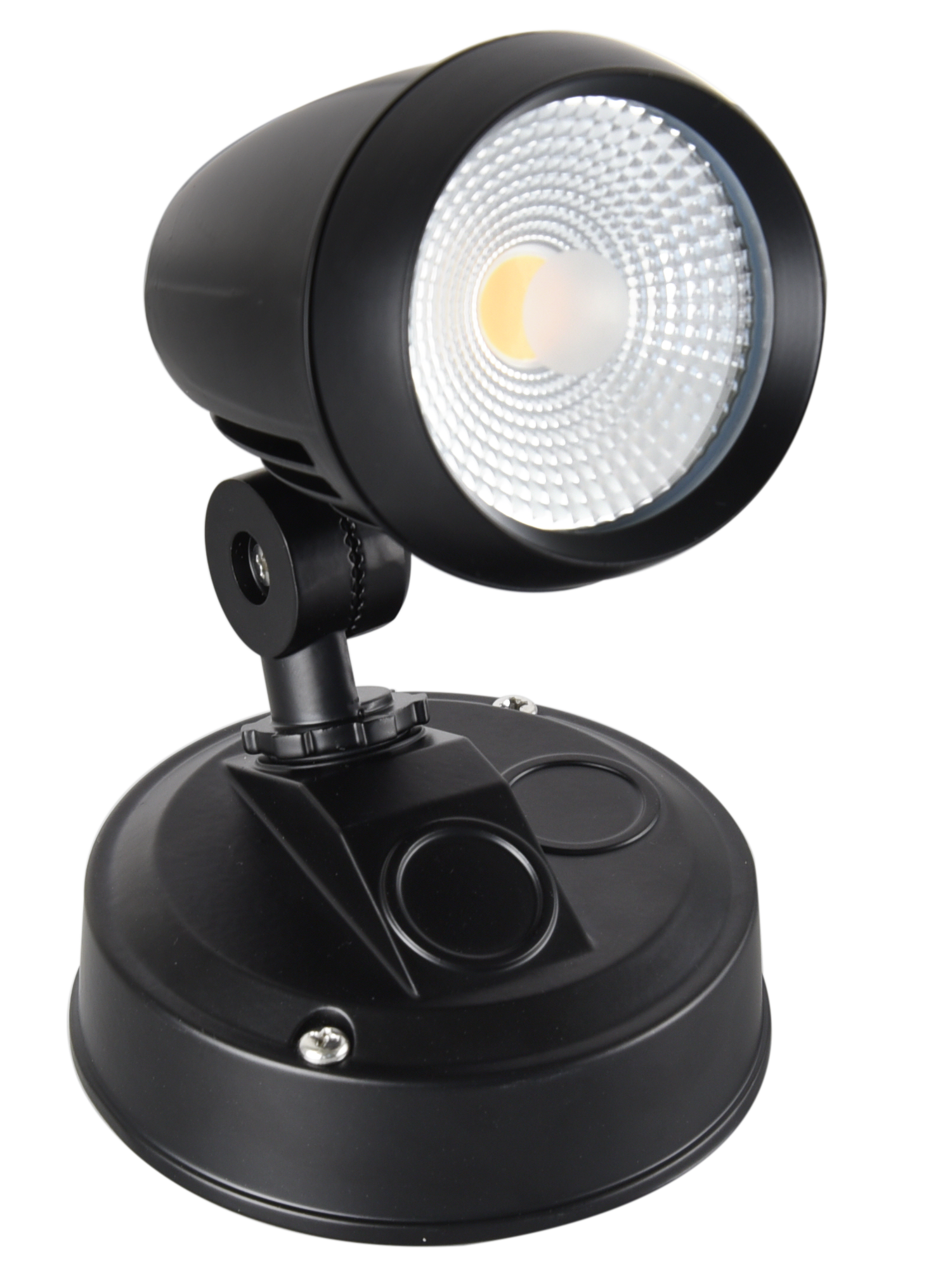 Seculite IP54 Spotlight 5000K Black - 203005