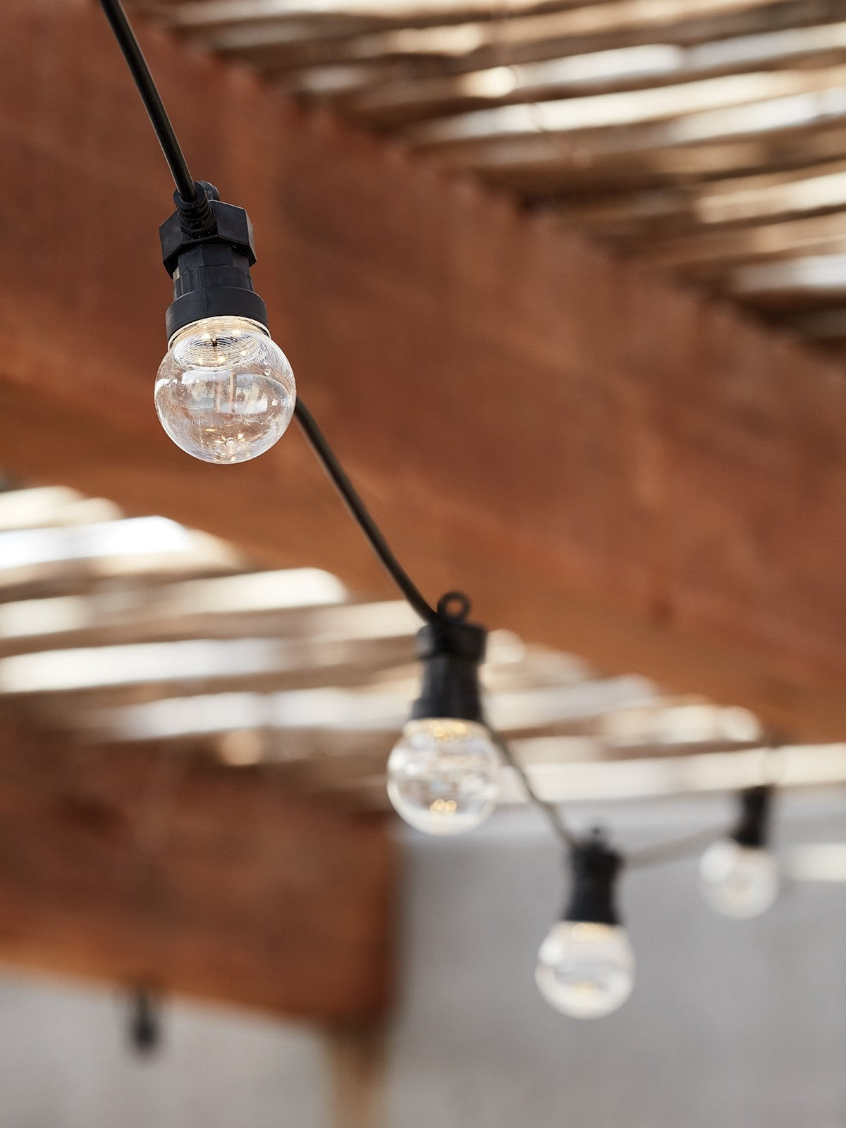 Festoon KIt 10 Light LED Light Kit in Black and Warm White clear - MLVA001CLR