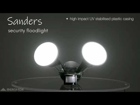 Sanders 2 LED Flood Light 24W 5700K IP44 Black - MXD6624BLK