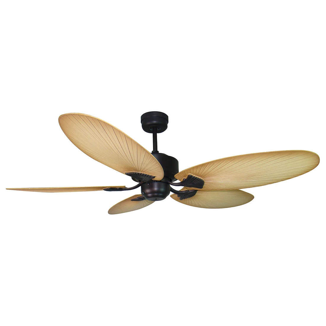 KEWARRA 1300 NL 5 BLADE RB KEWARRA- FC190139RB