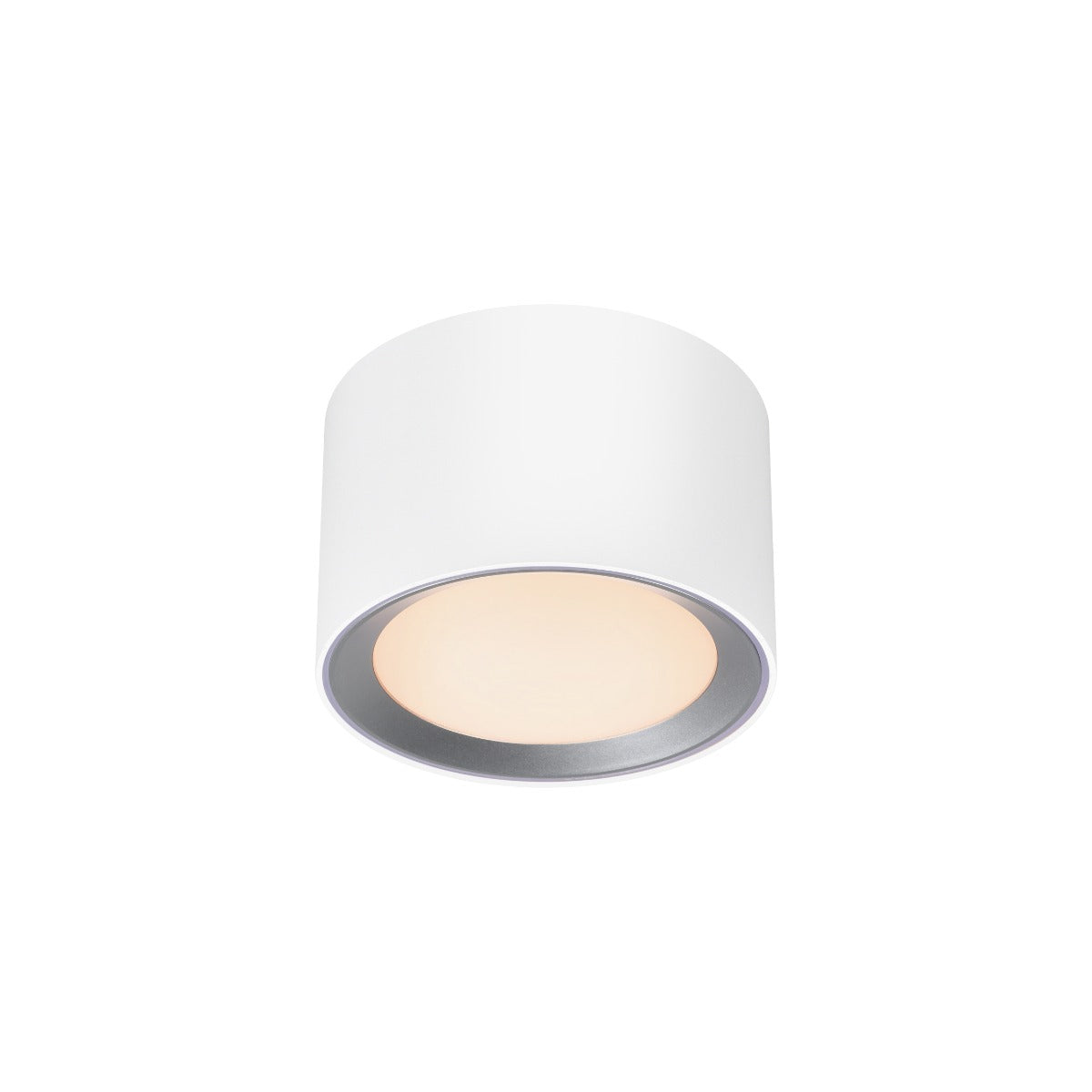 Landon Smart Ceiling light White-2110840101