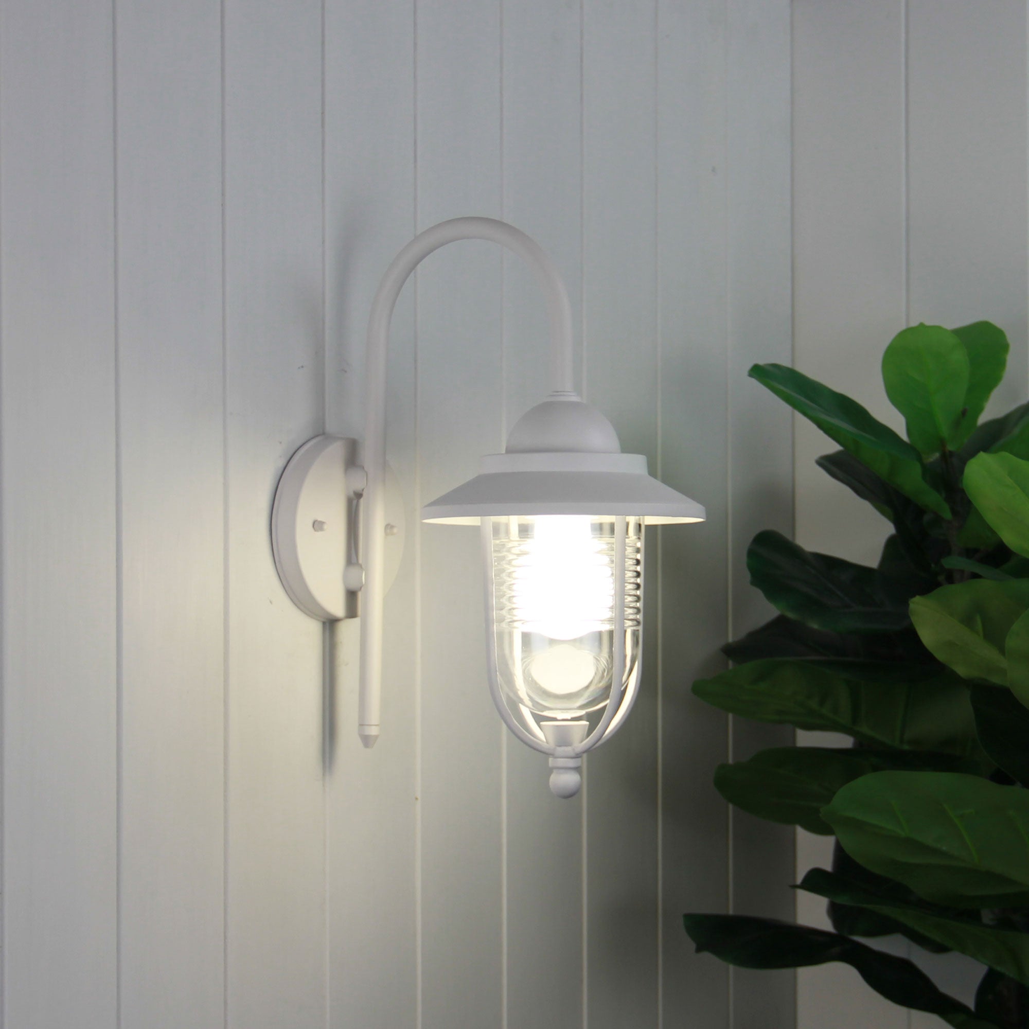 DOMO EXT WALL BKT TEXTURED WHITE / CLEAR - OL7850WH