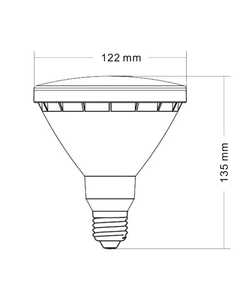 PAR38 LED Globes SUB3