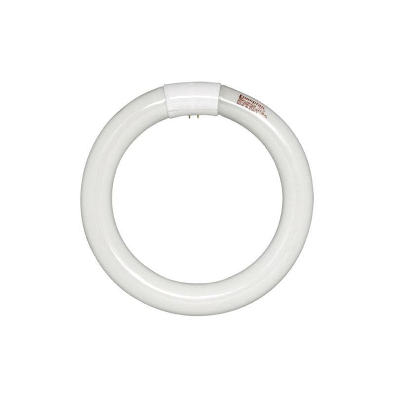 Circular Fluorescent Lamps