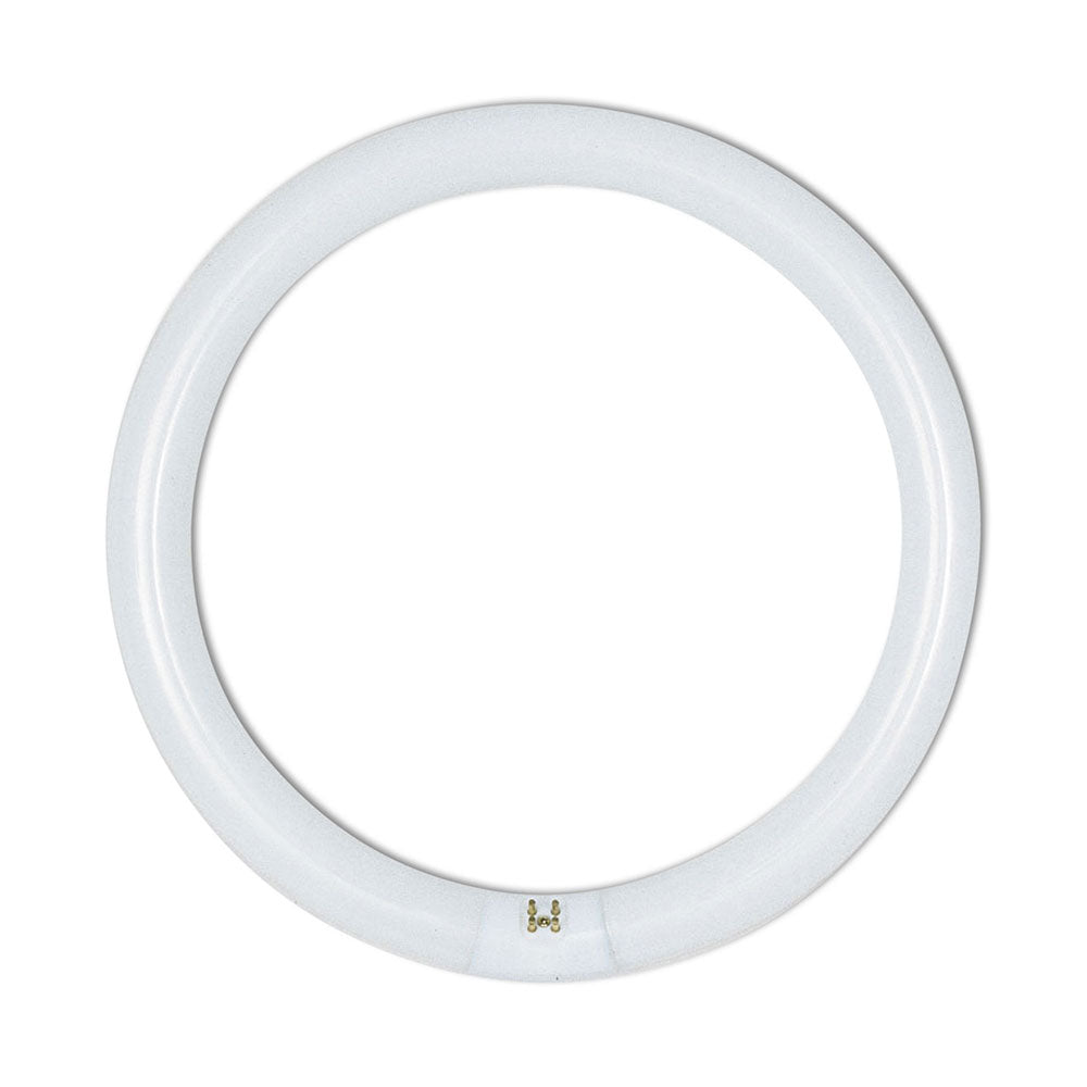 Fluorescent Globes & Tubes