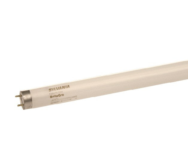 Sylvania Brightglo Grow light