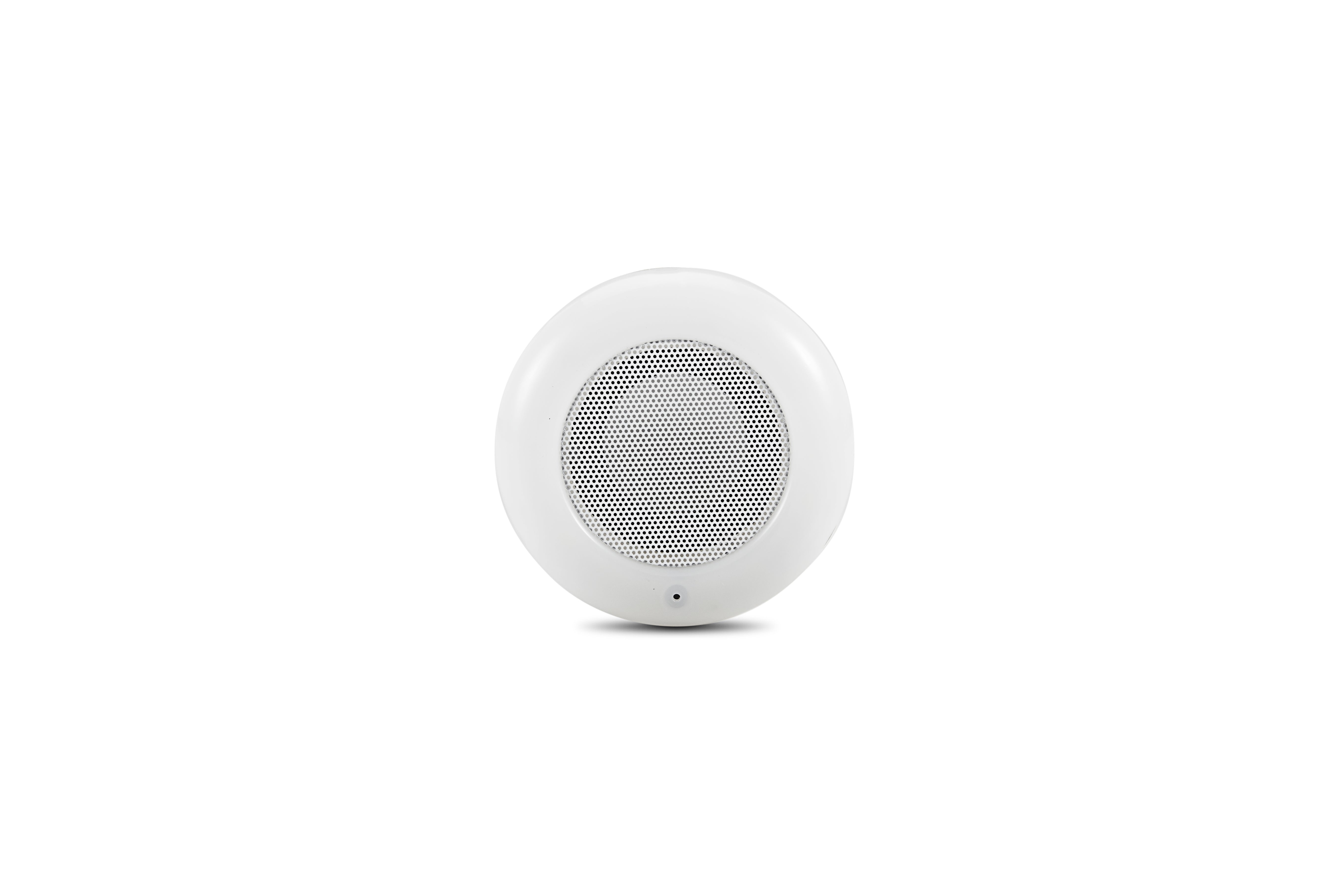 TECHNOLED Speaker Globe with Wireless Audio