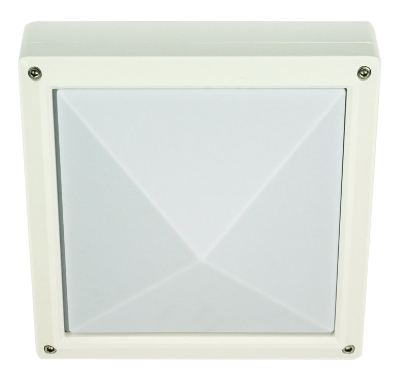new QUATRO BULKHEAD PLAIN TEX WHITE