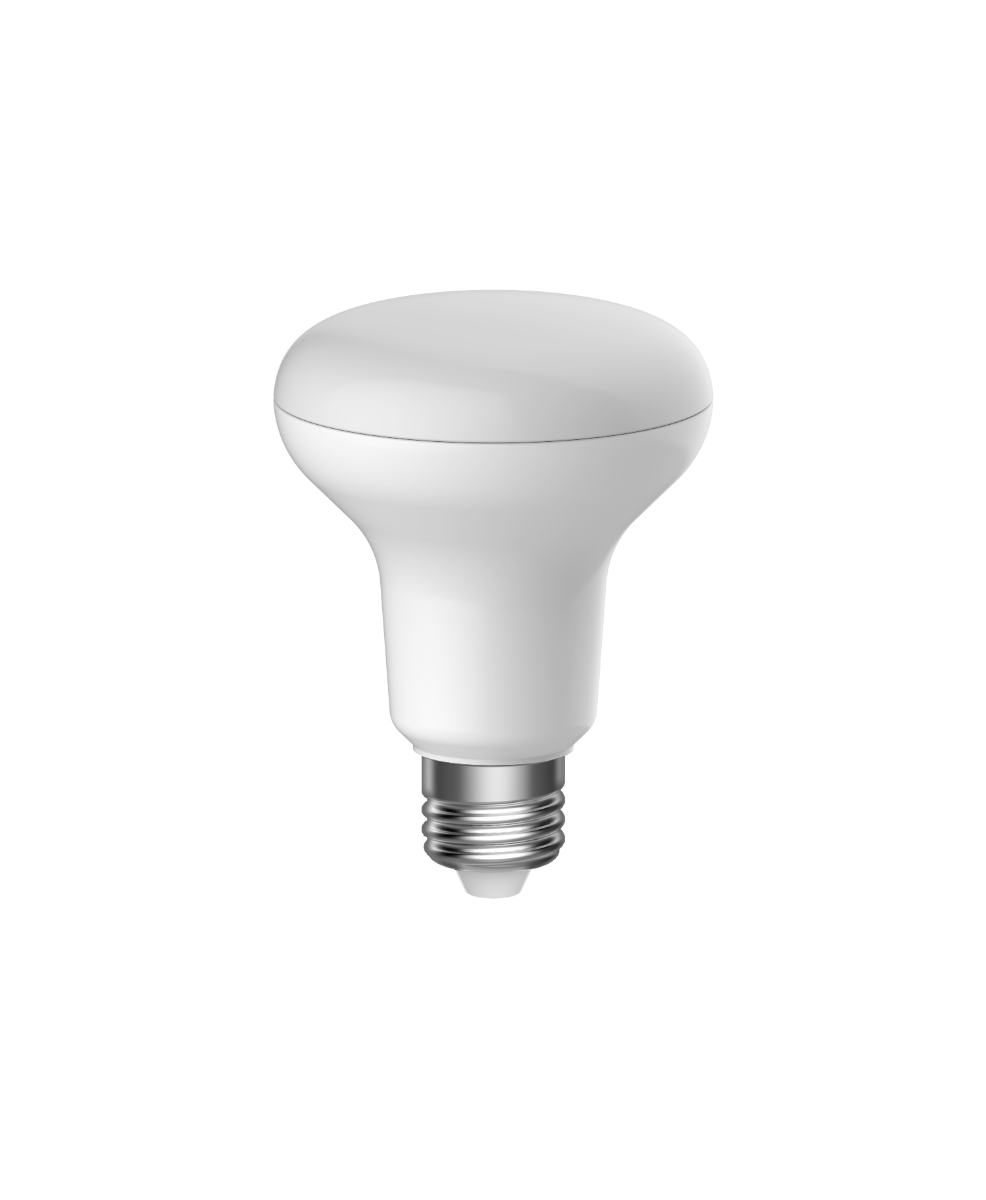 SupValue R80 Reflector Globe - 162604