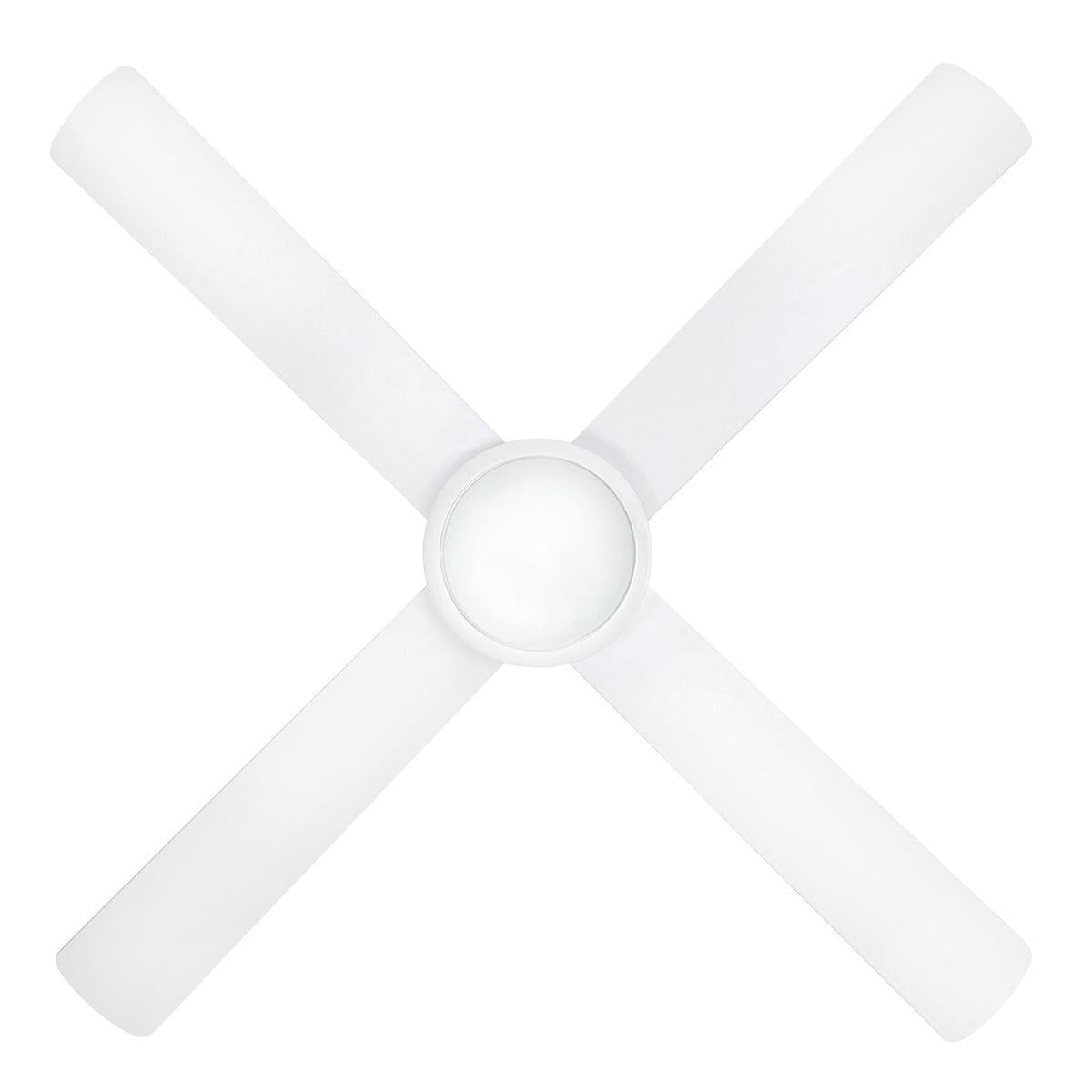 https://cdn.shopify.com/s/files/1/0707/3595/4146/files/22273-05R_1.jpg?v=1763436716