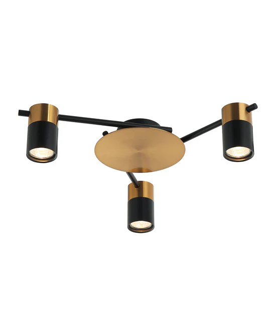 Interior Spot Ceiling 3 Lights with Adjustable Heads  TACHE4