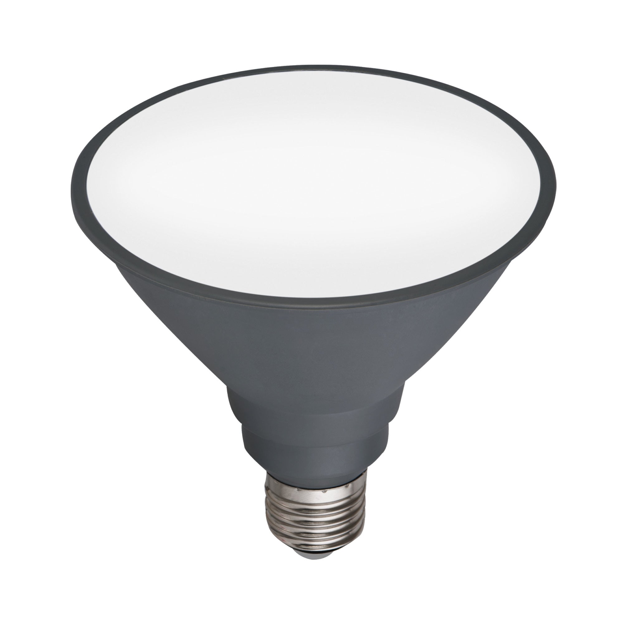 LED Par38 Globe 12w