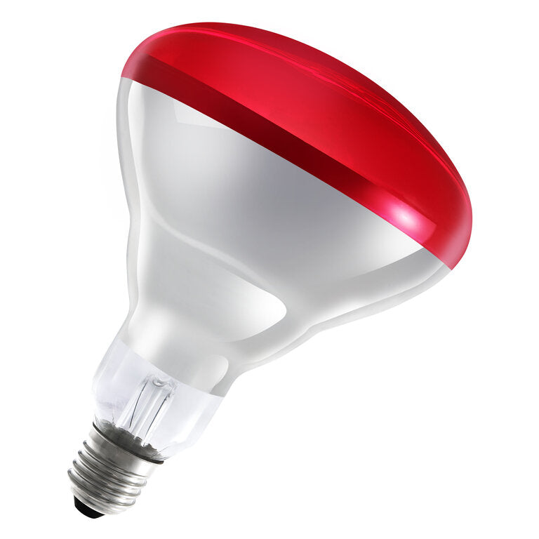 Electrical Products Red Infrared Double Reflector Heat Lamp 275W - ELE-IR275RED