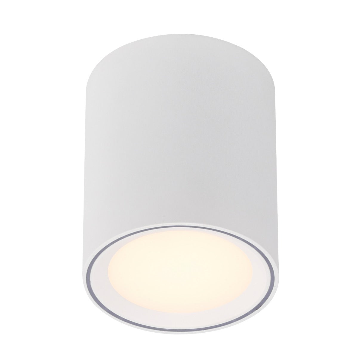 Fallon Surface downlight White/Steel-47540132
