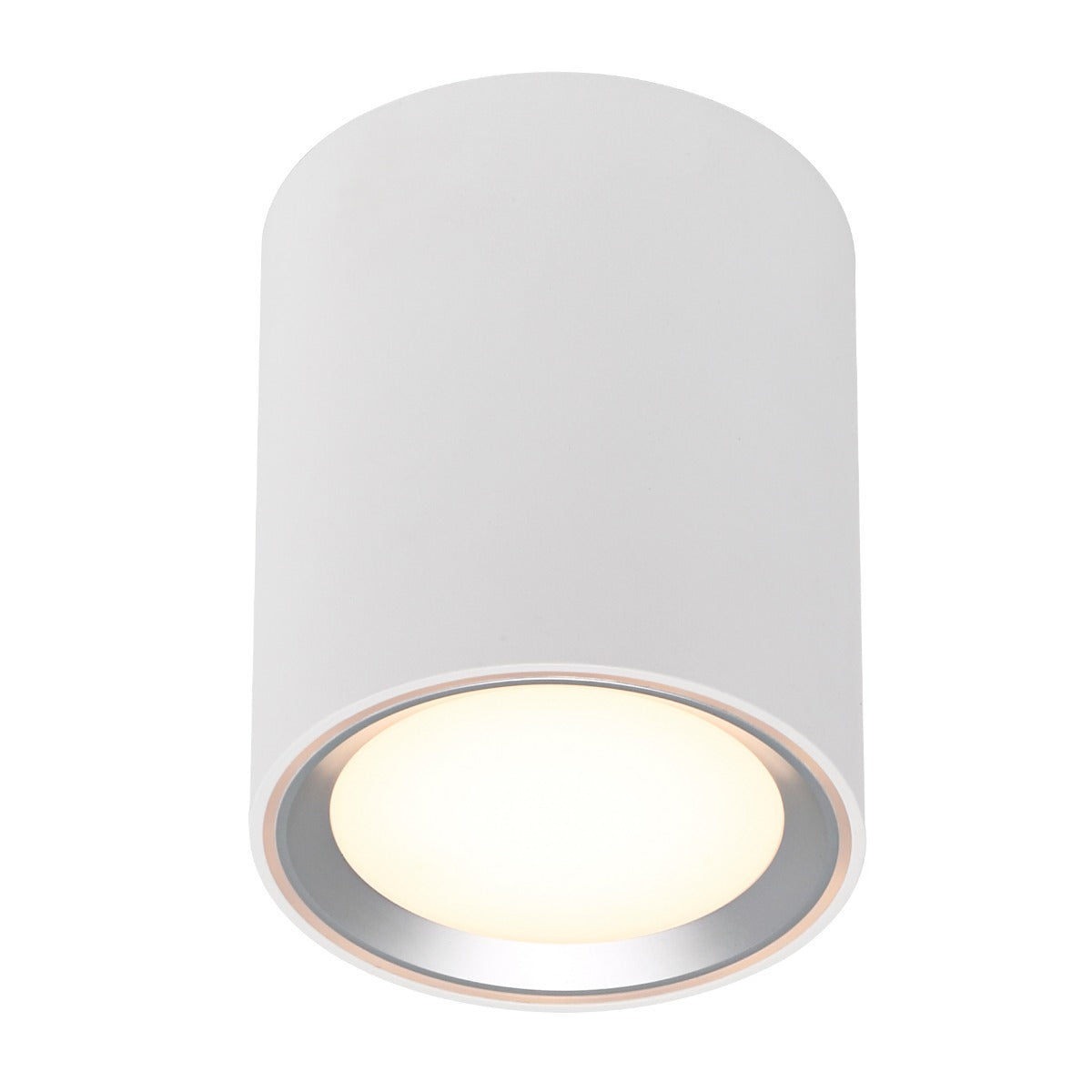 Fallon Long Surface downlight White/White-47550101