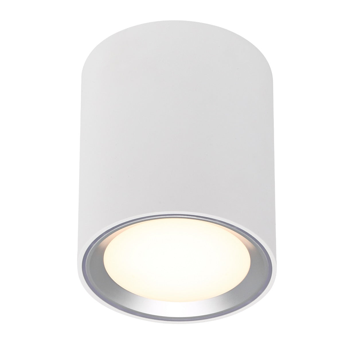 Fallon Long Surface downlight White/Steel-47550132