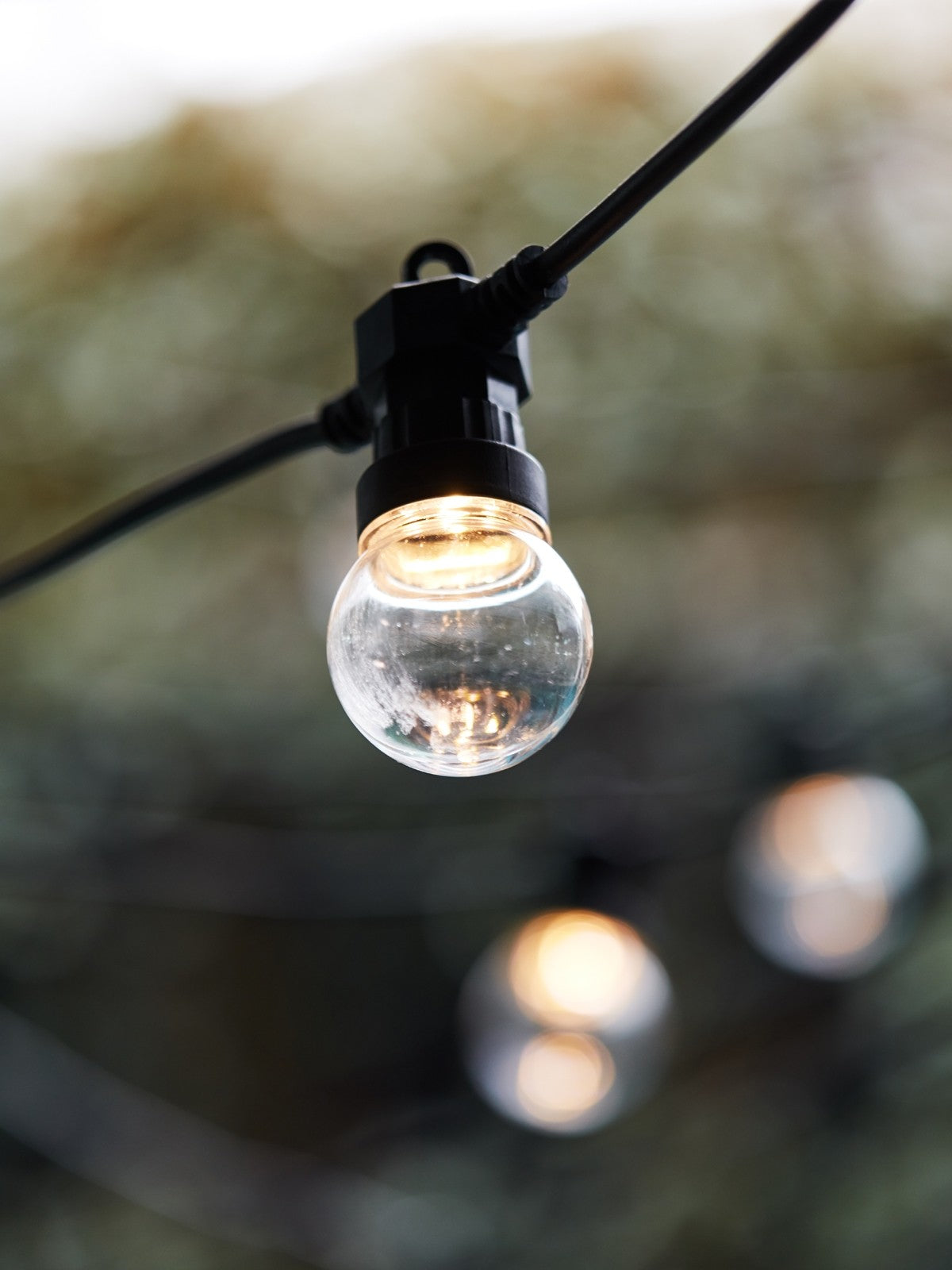 Festoon KIt 10 Light LED Light Kit in Black and Warm White clear - MLVA001CLR