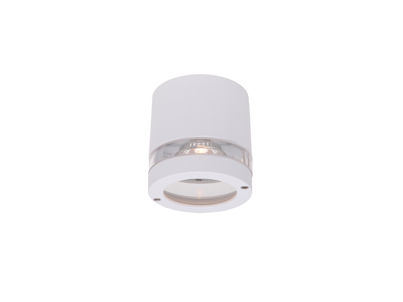 Focus Ceiling White Metal/PC IP44 GU10 - 874231
