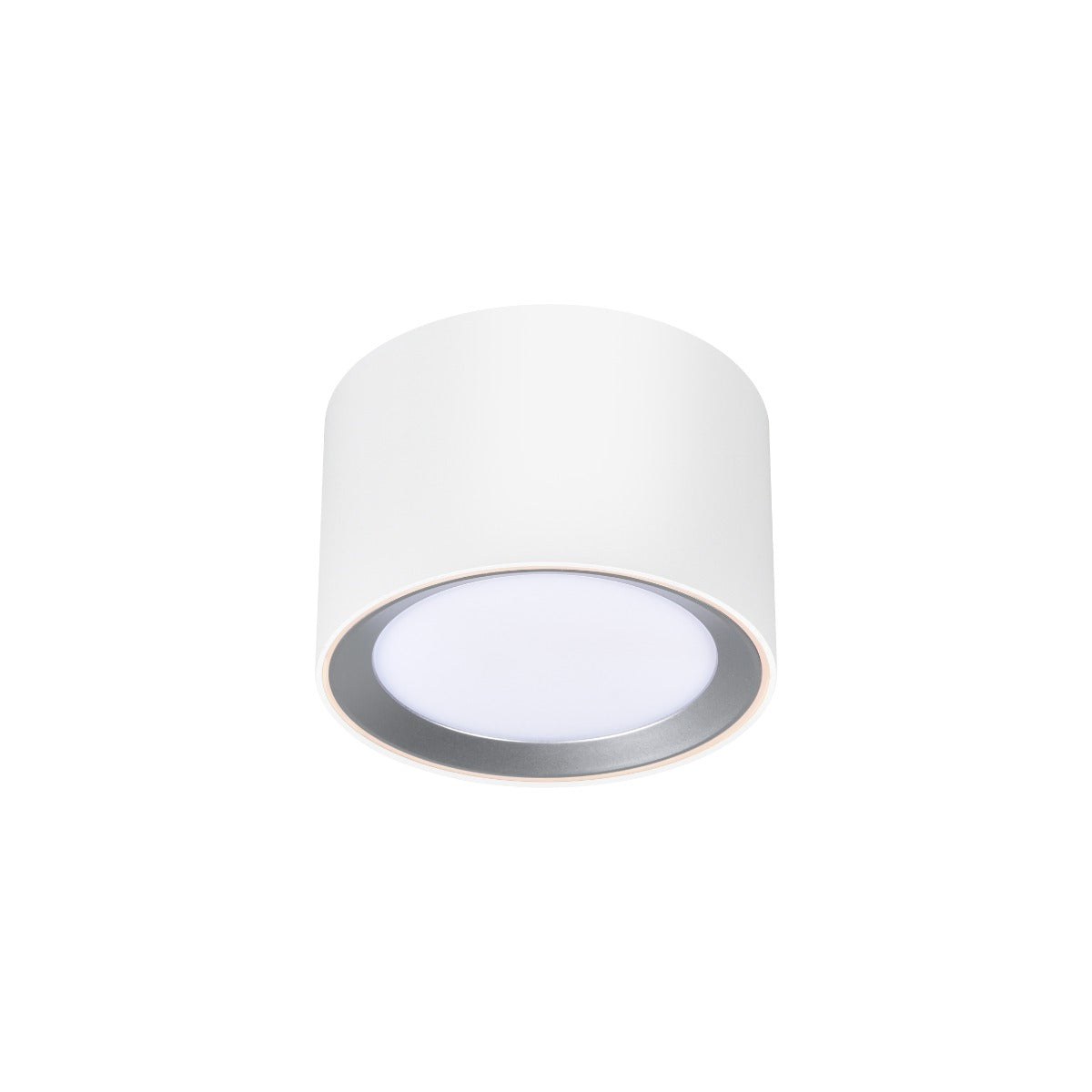 Landon Smart Ceiling light White-2110840101