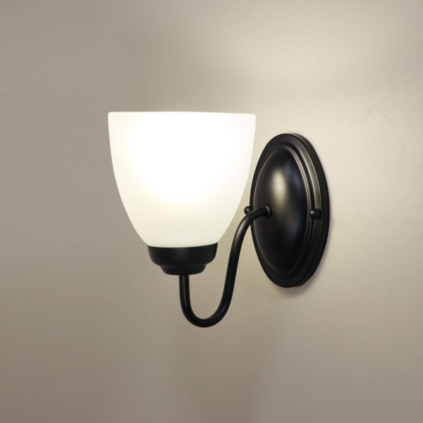 ROCHESTER WALL LIGHT BLACK / FROST OL65321/1BK