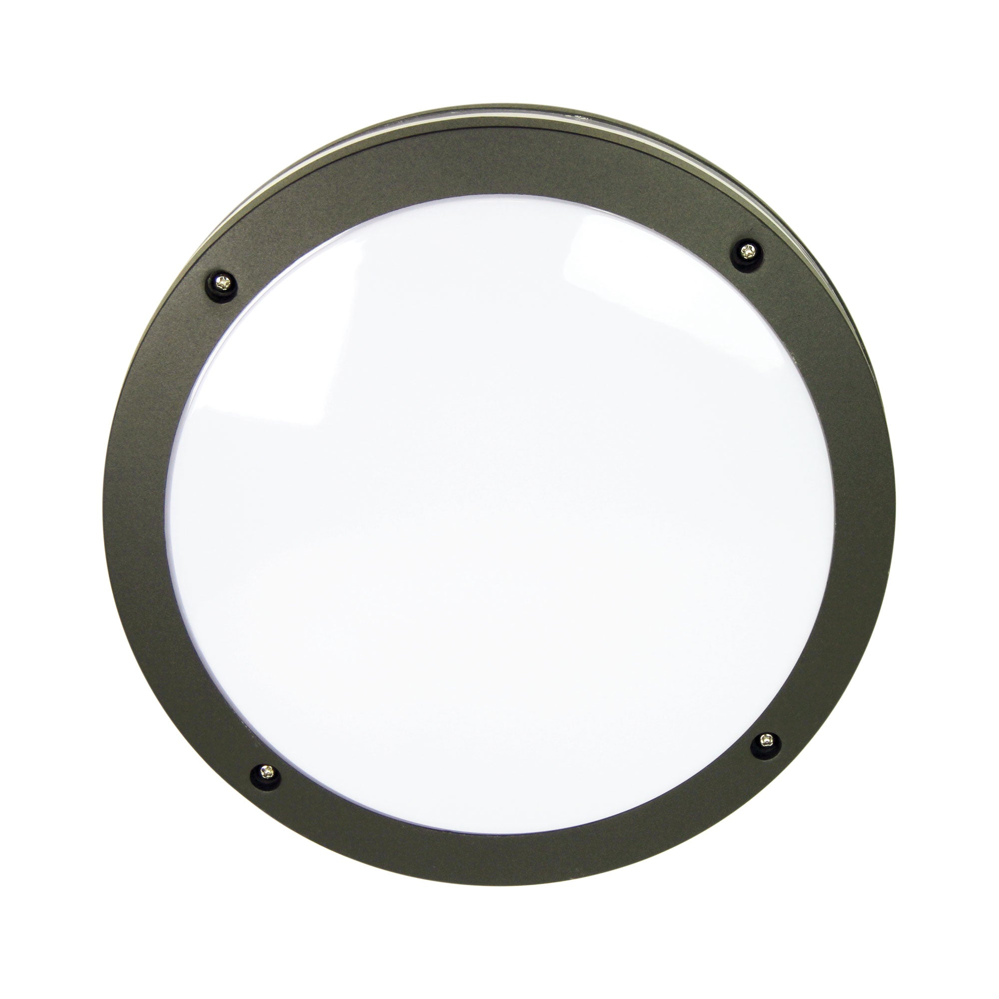 TONATO PLAIN Graphite IP54 Outdoor Bulkhead in Graphite - OL7901GP