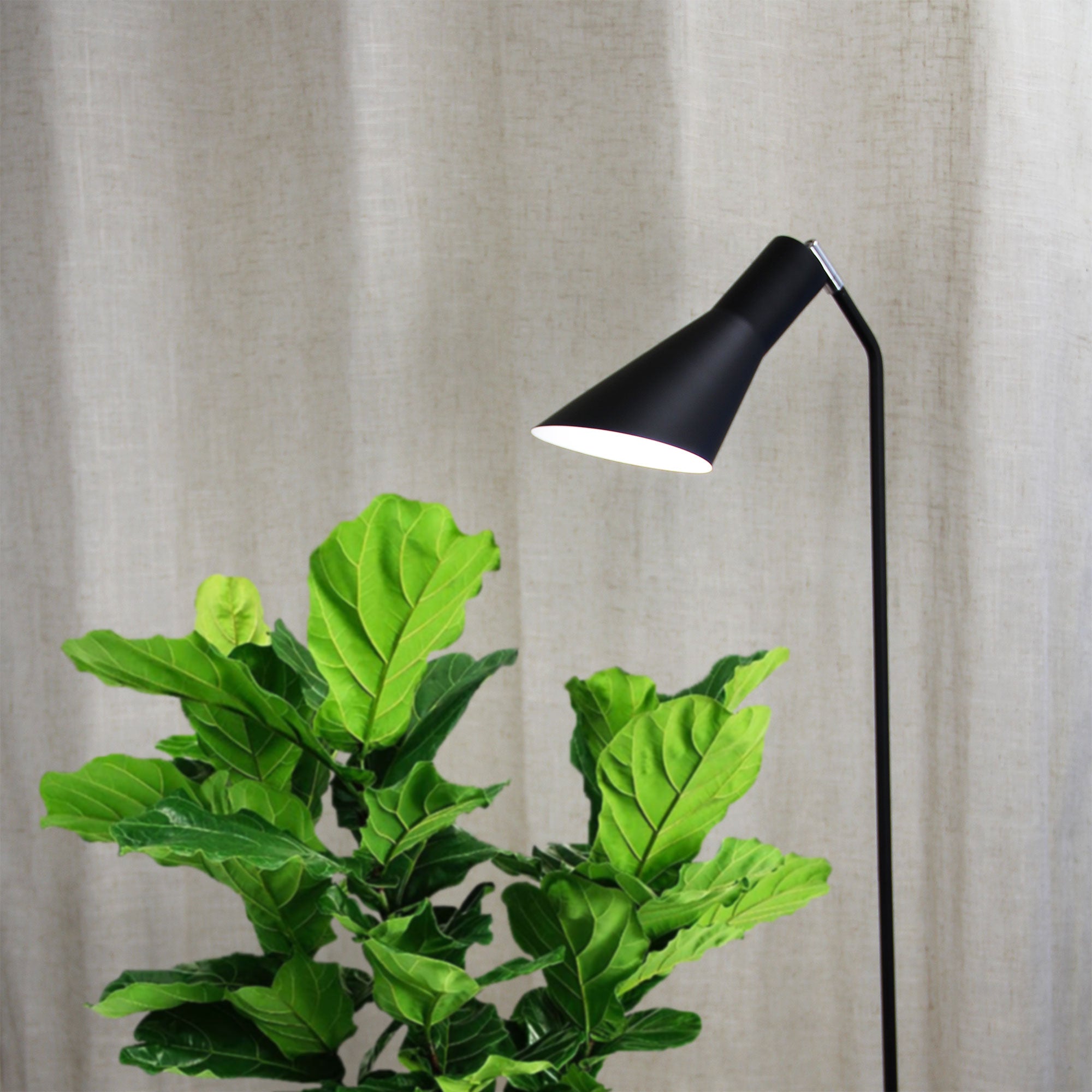 THOR FLOOR LAMP BLACK - OL93933BK