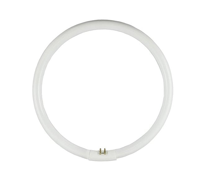 OSRAM Circular Fluoro T5 32W G10Q (245mm) (4000k or 6500k)