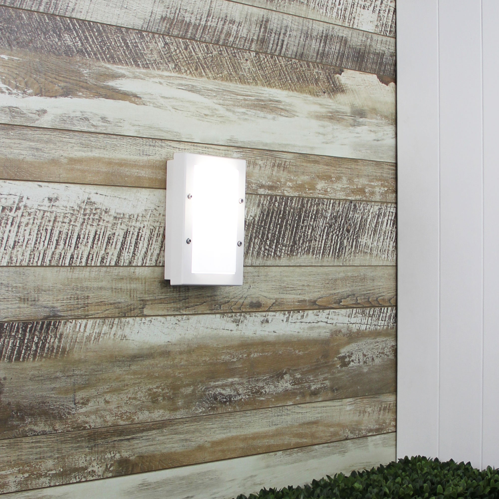 SENZA MINI White IP65 Premium Outdoor Bulkhead - SG70521WH