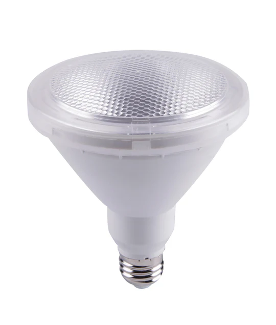 PAR38 LED Globes SUB3